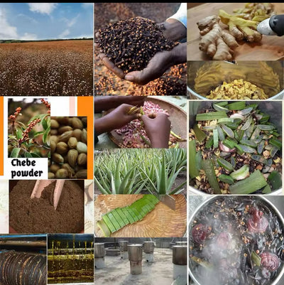 Produits anti-chute !Le secret pour avoir de longs cheveux.Chébé  Ensemble de croissance capillaire Glad’isBeauty.